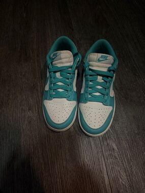 Nike Teal and White Low-Top Sneakers